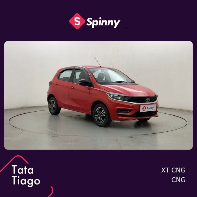 Tiago image 7 Tiago image 7