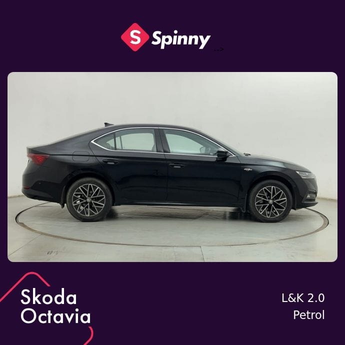 Octavia image 6 Octavia image 6
