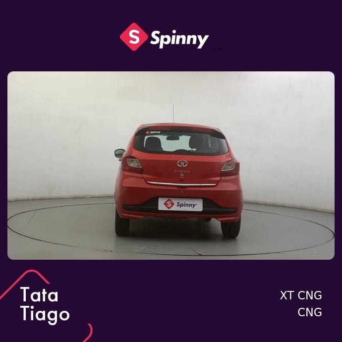 Tiago image 4 Tiago image 4