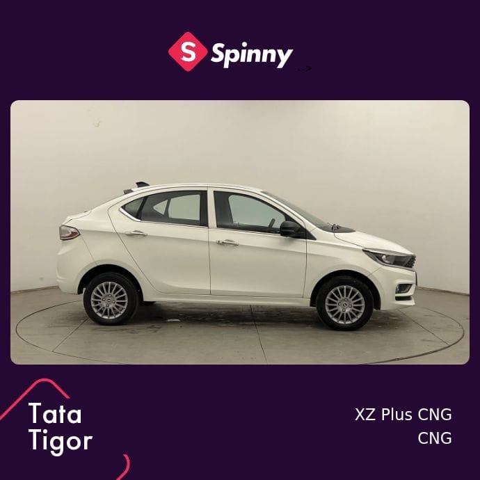 Tigor image 6 Tigor image 6