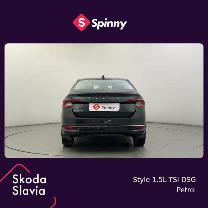 Slavia image 4 Slavia image 4