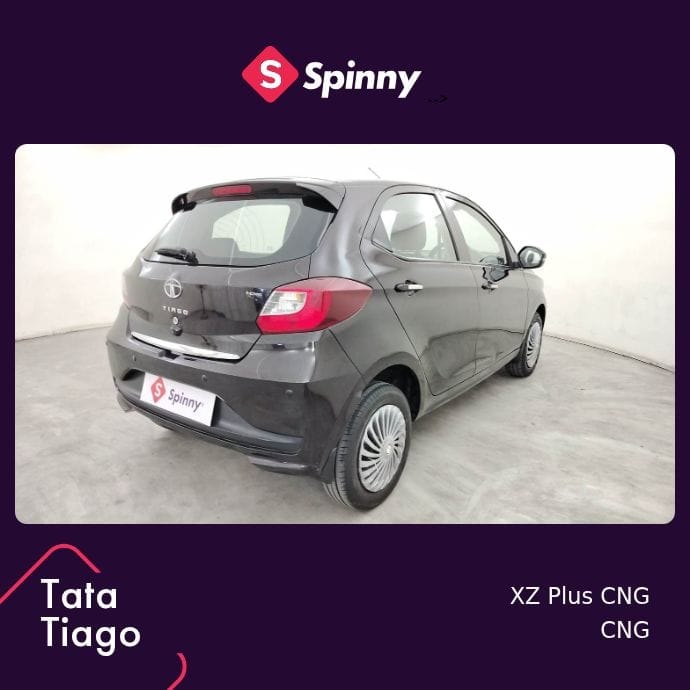 Tiago image 5 Tiago image 5