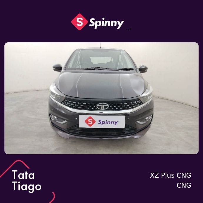 Tiago image 8 Tiago image 8