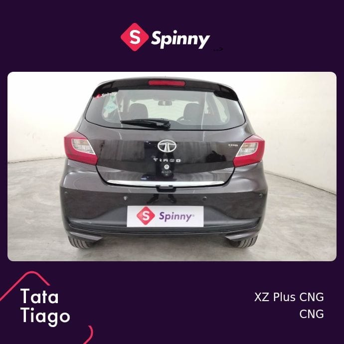 Tiago image 4 Tiago image 4