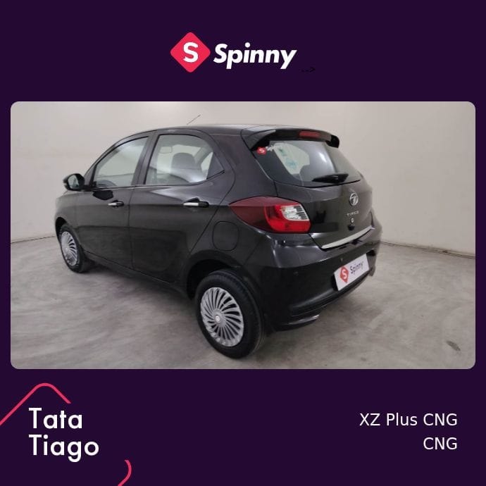 Tiago image 3 Tiago image 3
