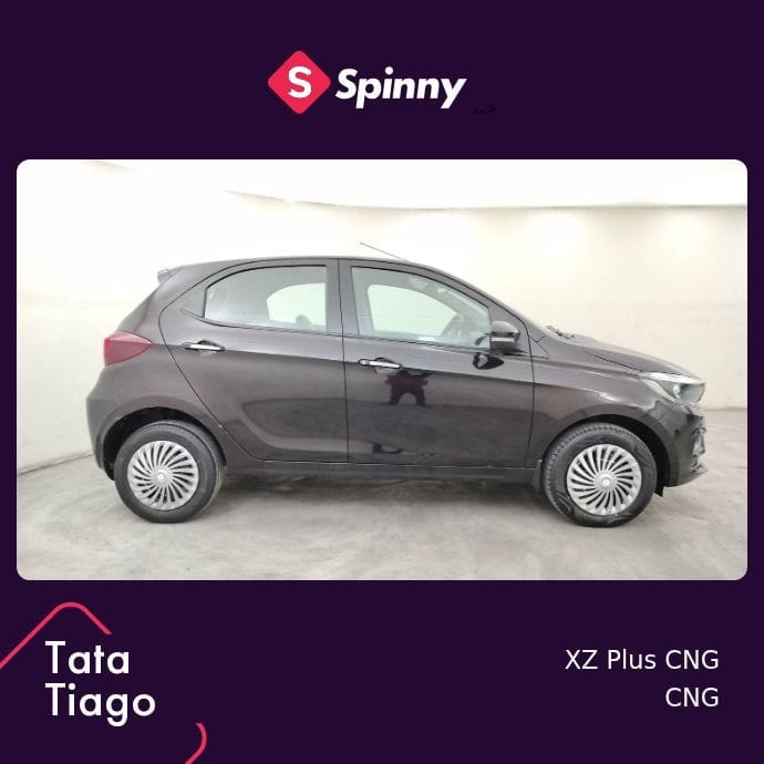 Tiago image 6 Tiago image 6