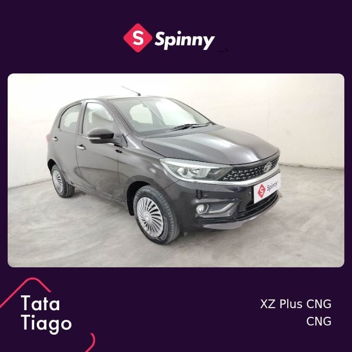 Tiago image 7 Tiago image 7