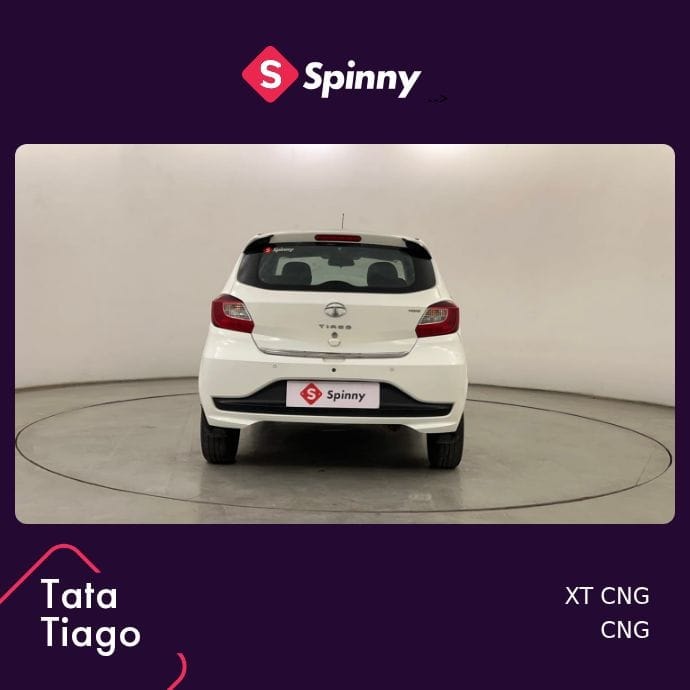 Tiago image 4 Tiago image 4
