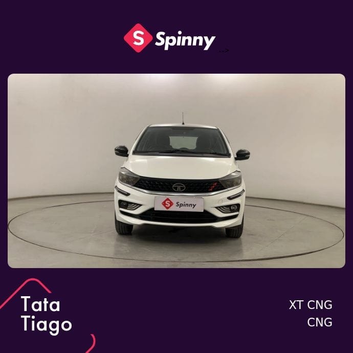 Tiago image 8 Tiago image 8