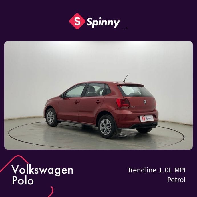 Polo image 3 Polo image 3