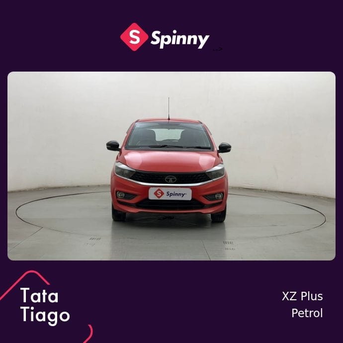 Tiago image 8 Tiago image 8