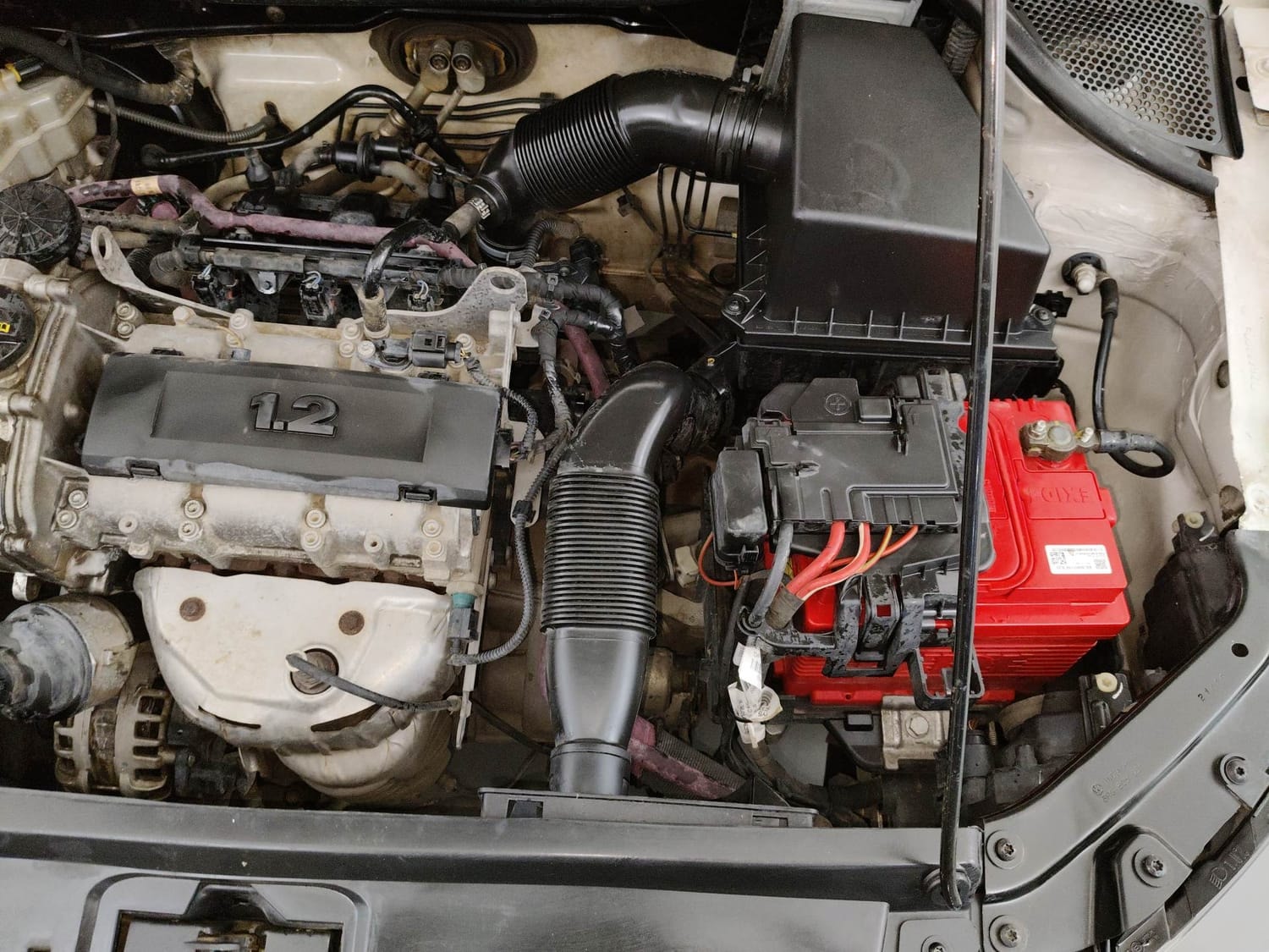 Polo image 28 Polo image 28