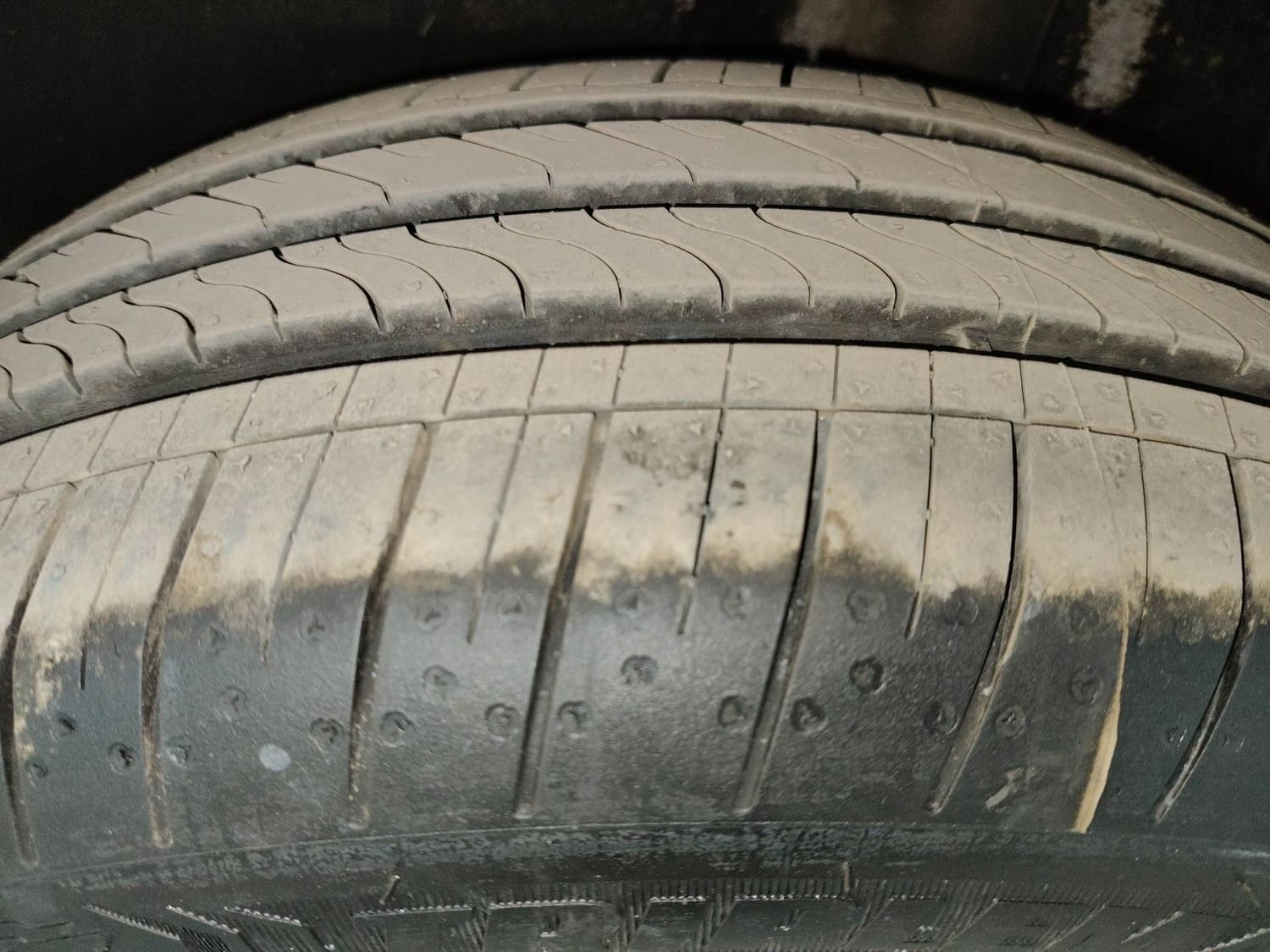 Polo image 39 Polo image 39