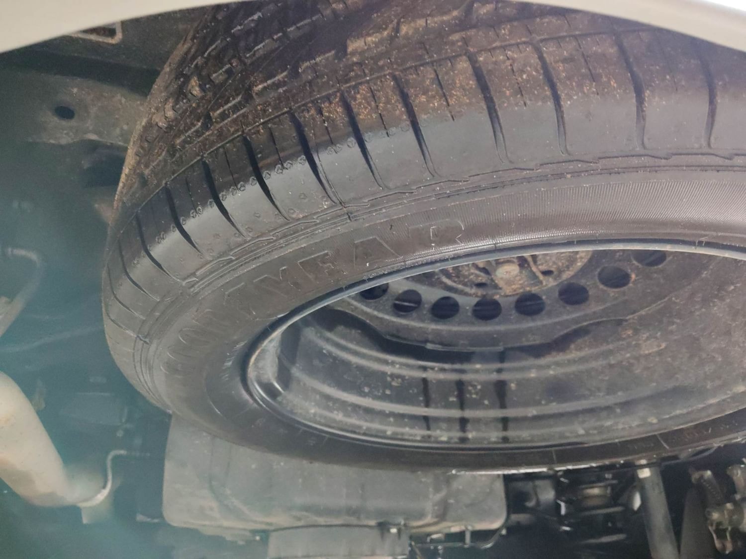 Hector image 40 Hector image 40