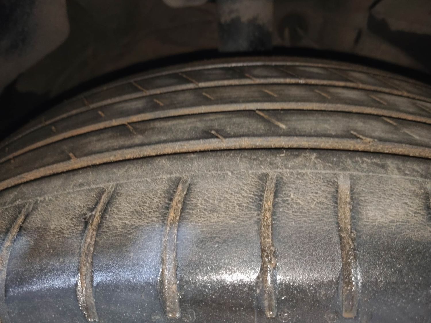 Hector image 36 Hector image 36