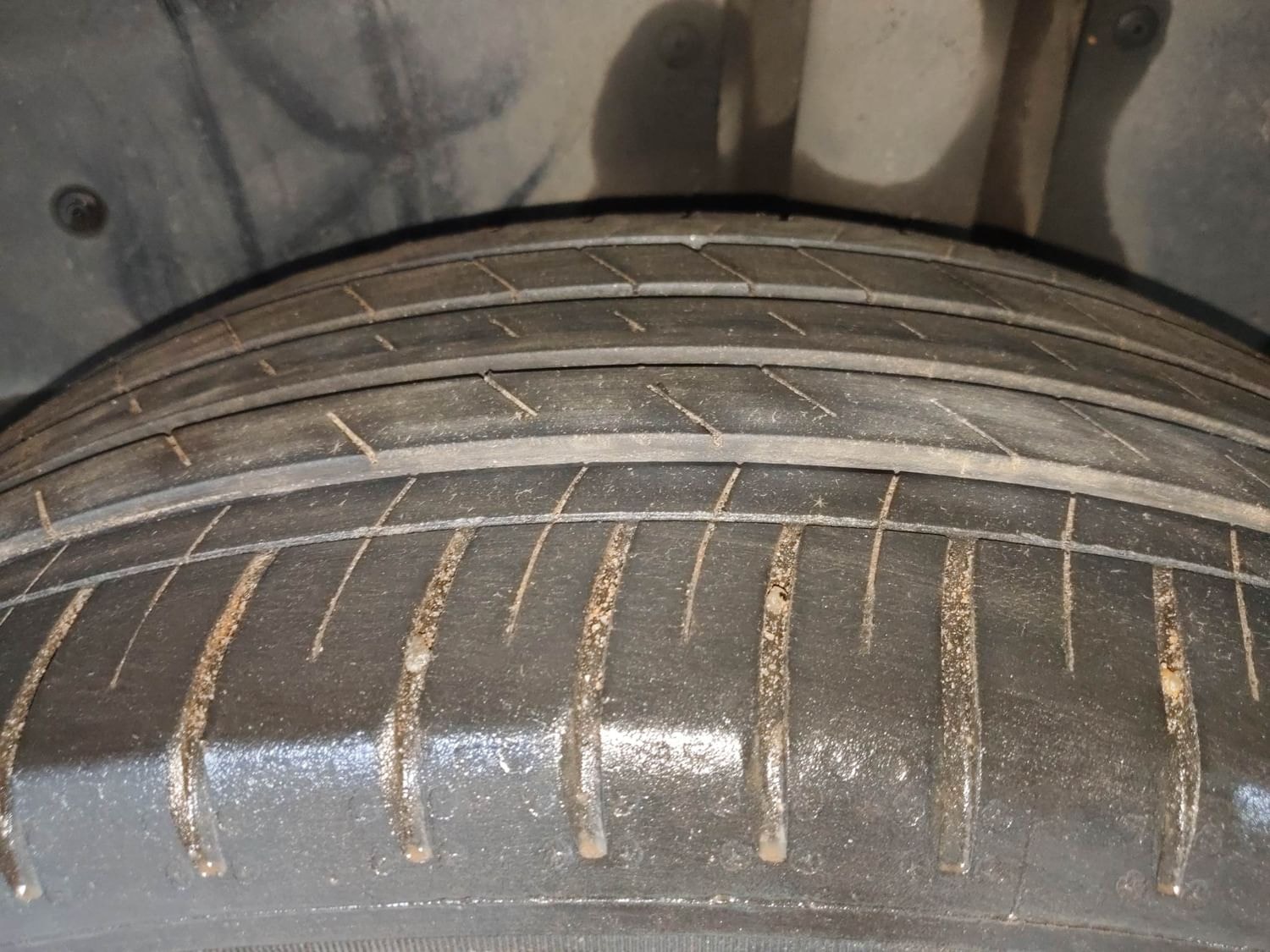 Hector image 39 Hector image 39