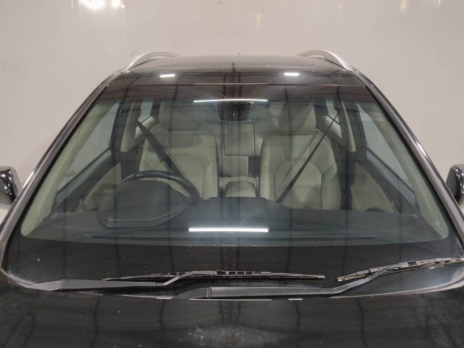 Hector image 9 Hector image 9