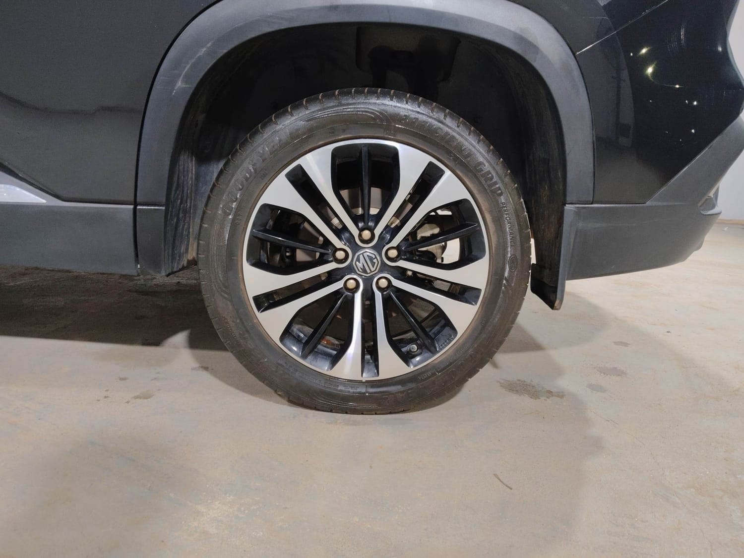 Hector image 35 Hector image 35