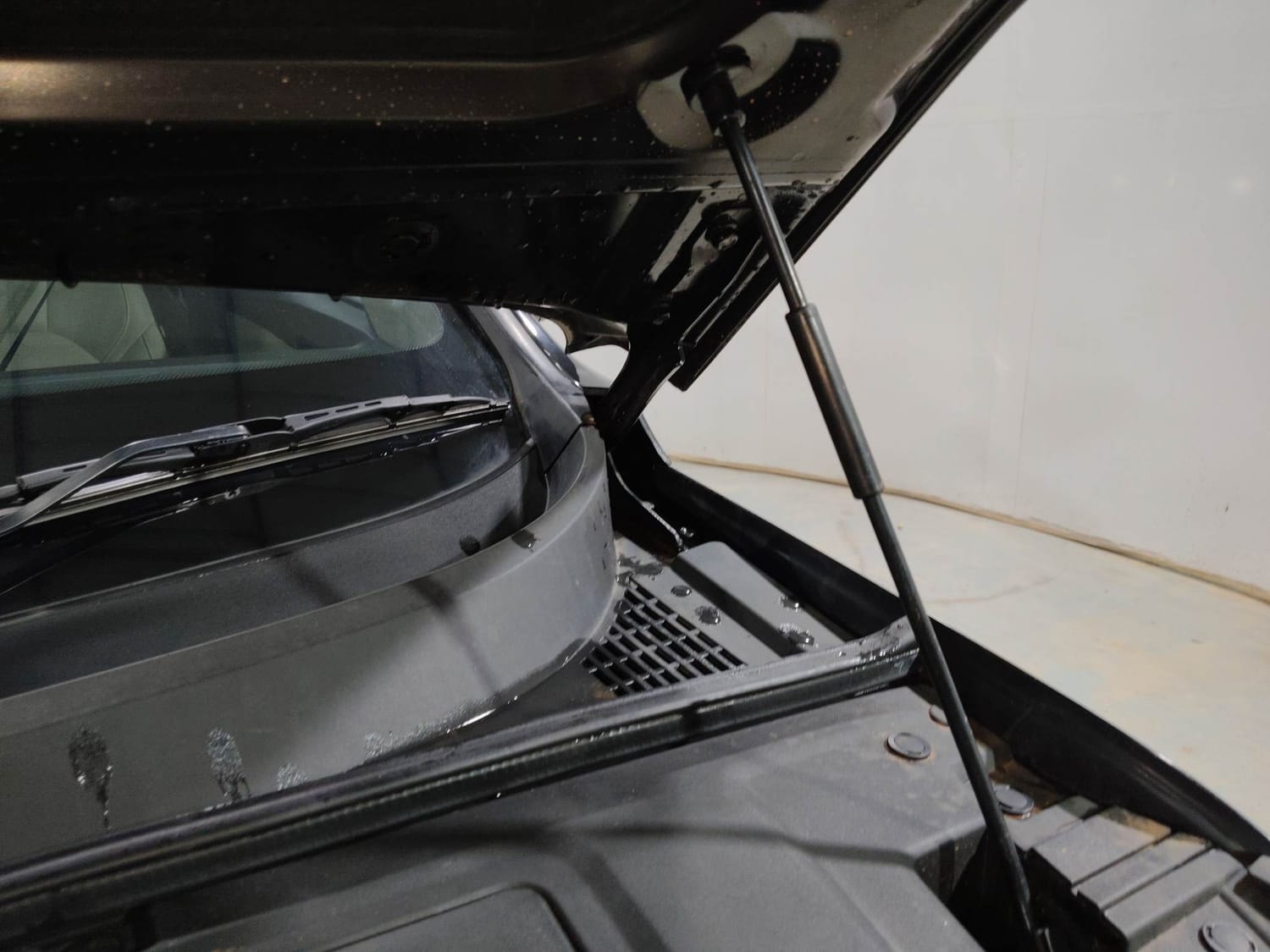 Hector image 30 Hector image 30