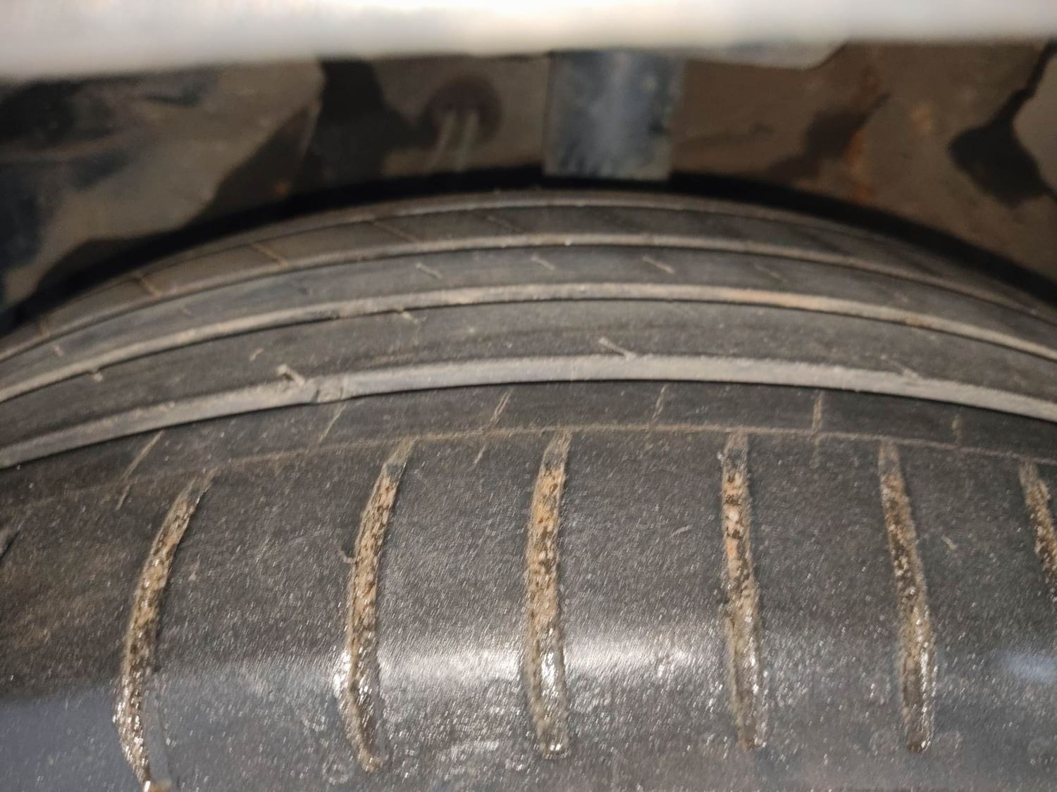 Hector image 38 Hector image 38