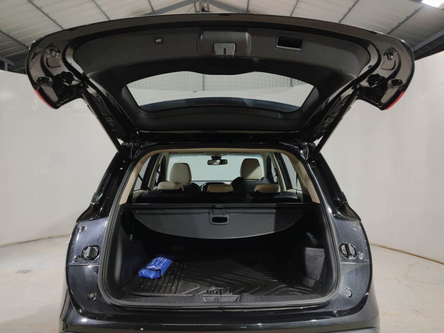 Hector image 24 Hector image 24