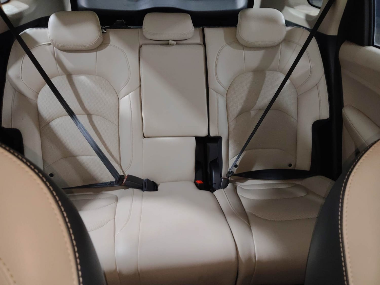 Hector image 23 Hector image 23