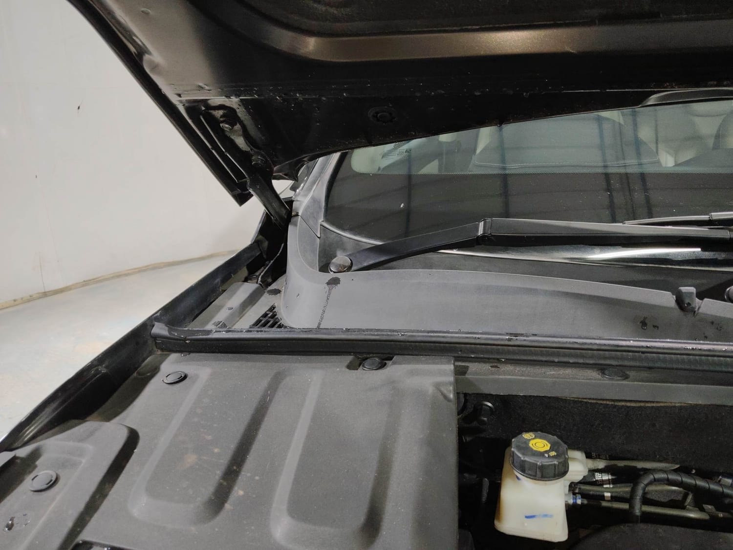 Hector image 31 Hector image 31