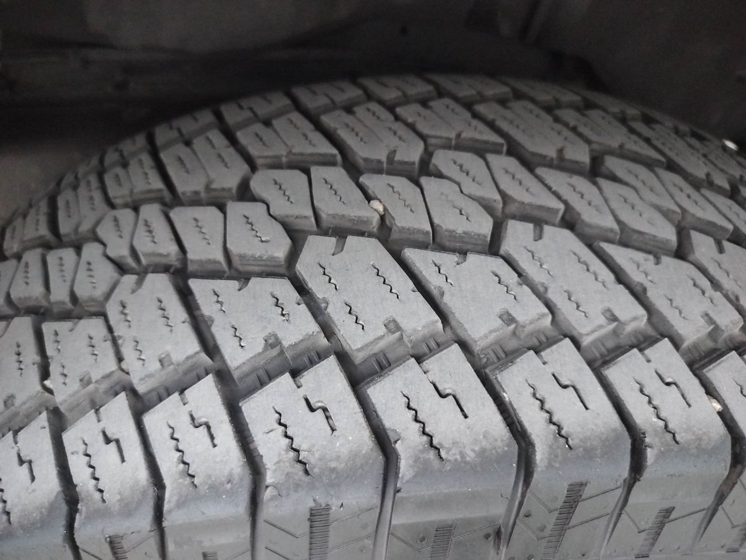 Thar image 37 Thar image 37