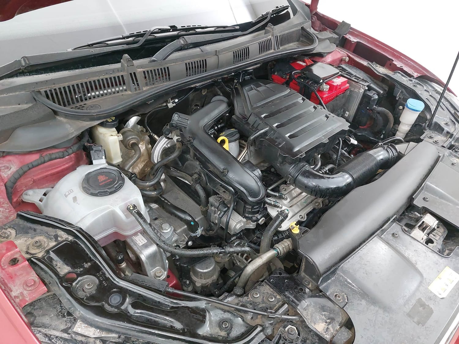 Virtus image 29 Virtus image 29