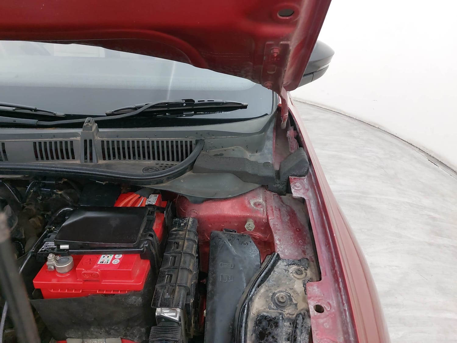 Virtus image 30 Virtus image 30