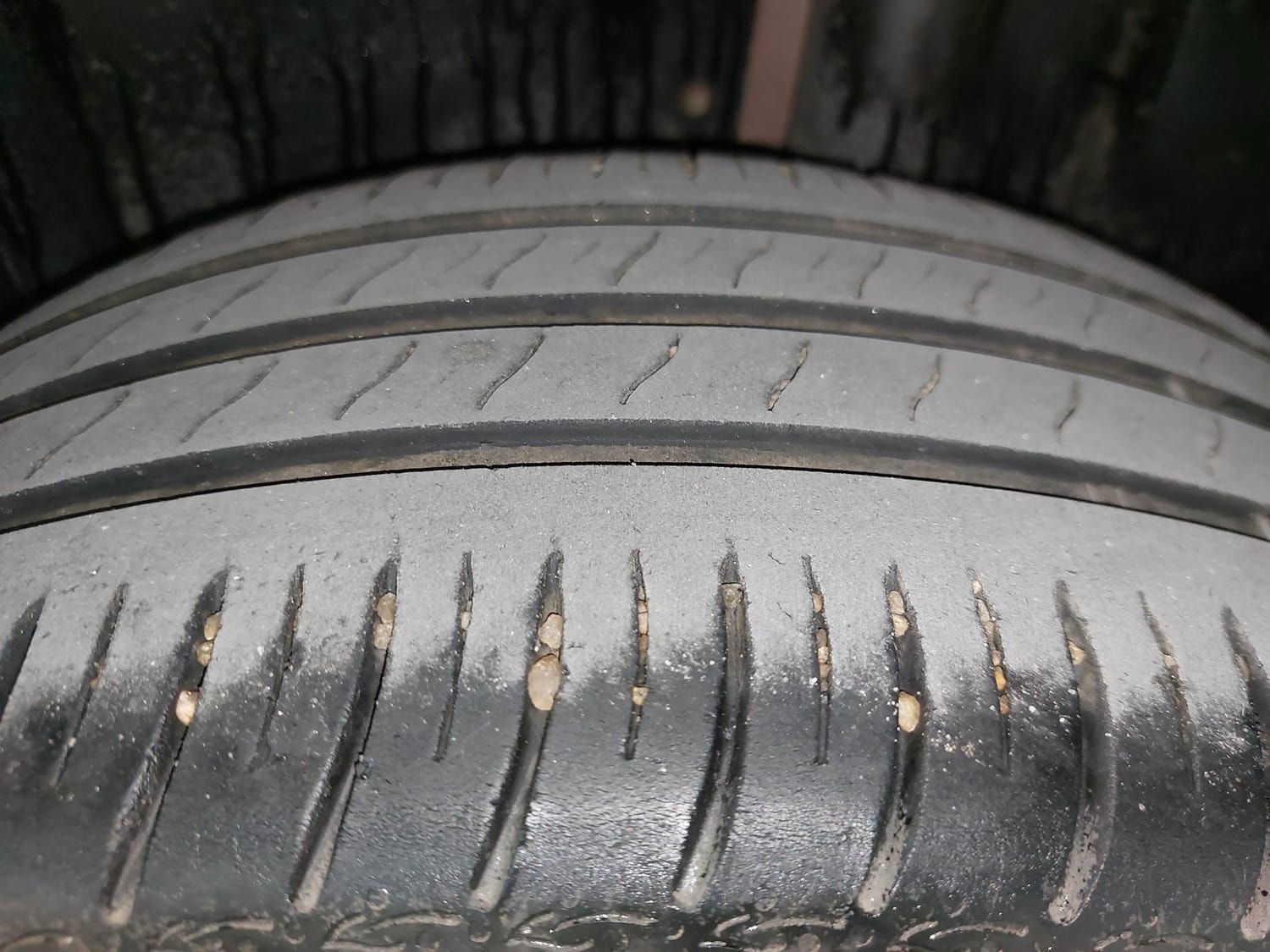 Virtus image 39 Virtus image 39