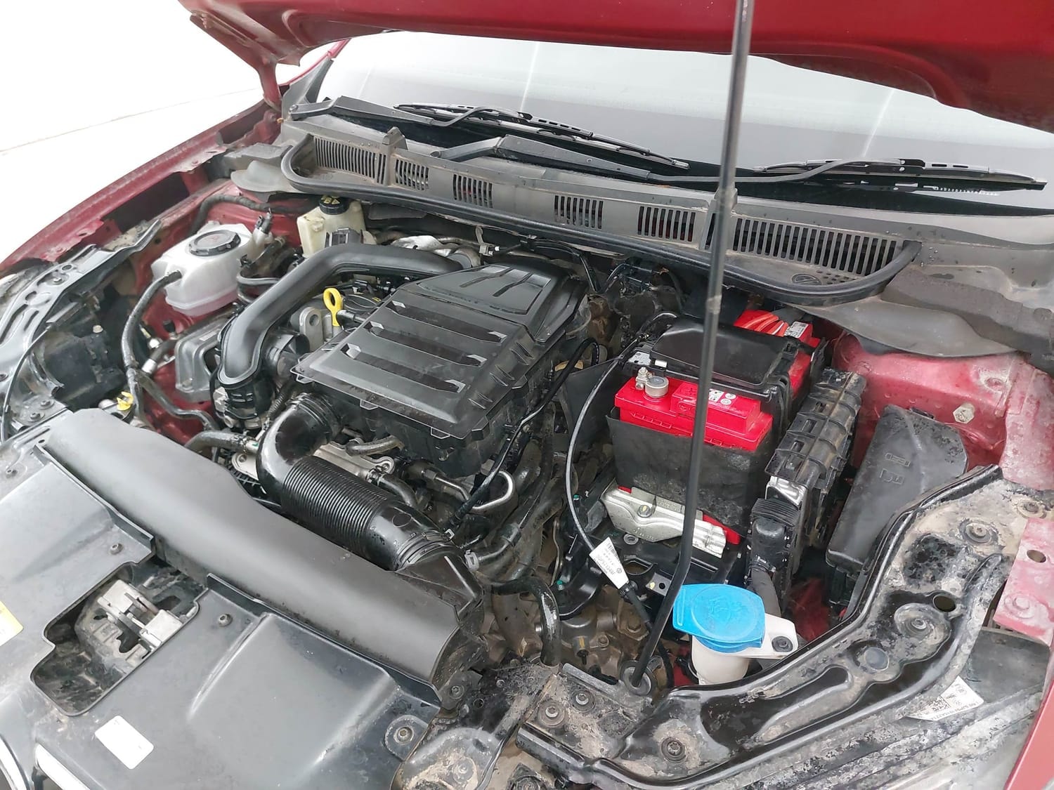 Virtus image 28 Virtus image 28