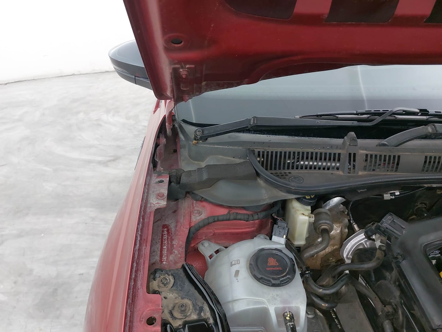 Virtus image 31 Virtus image 31