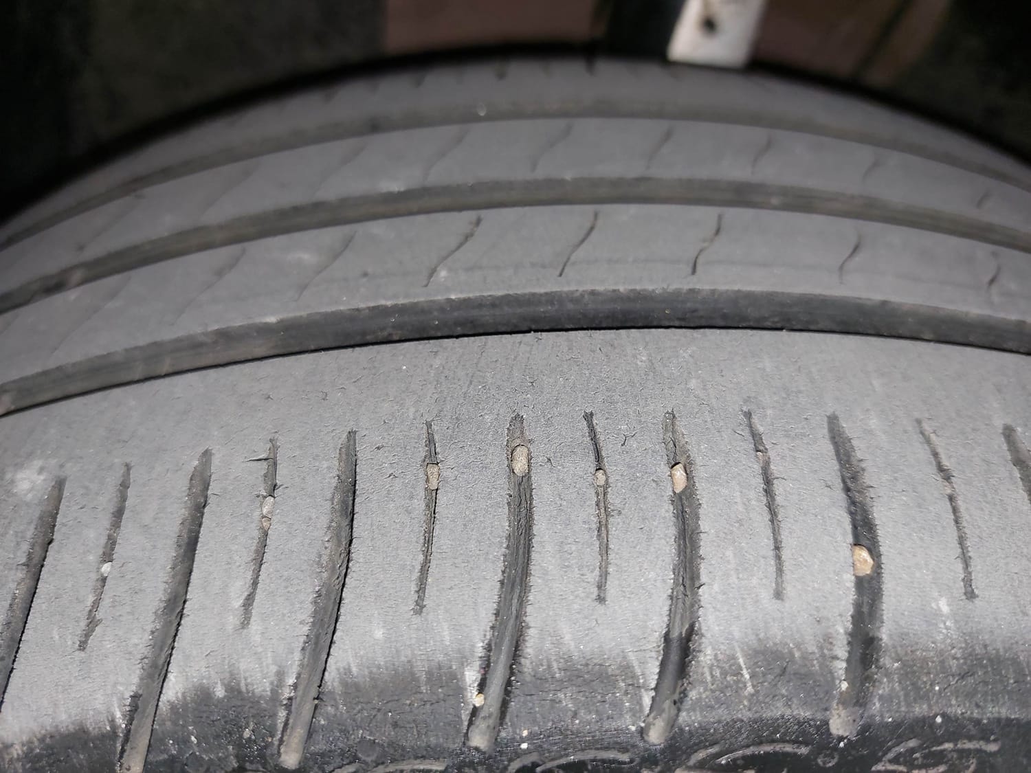 Virtus image 38 Virtus image 38