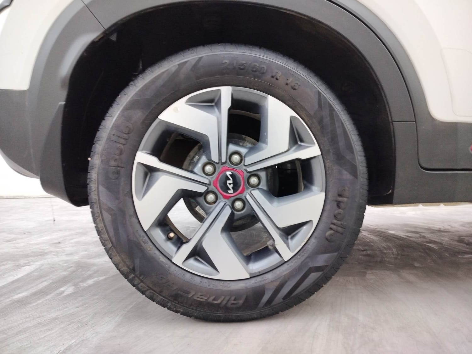 Sonet image 33 Sonet image 33