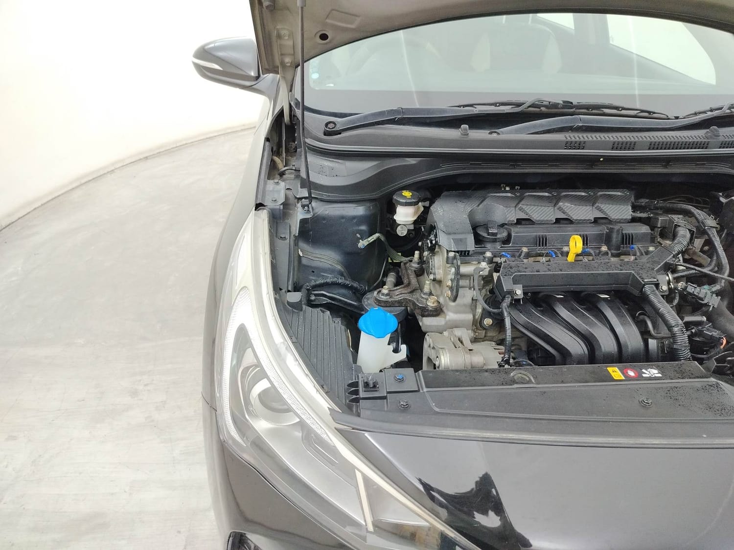 Verna image 31 Verna image 31