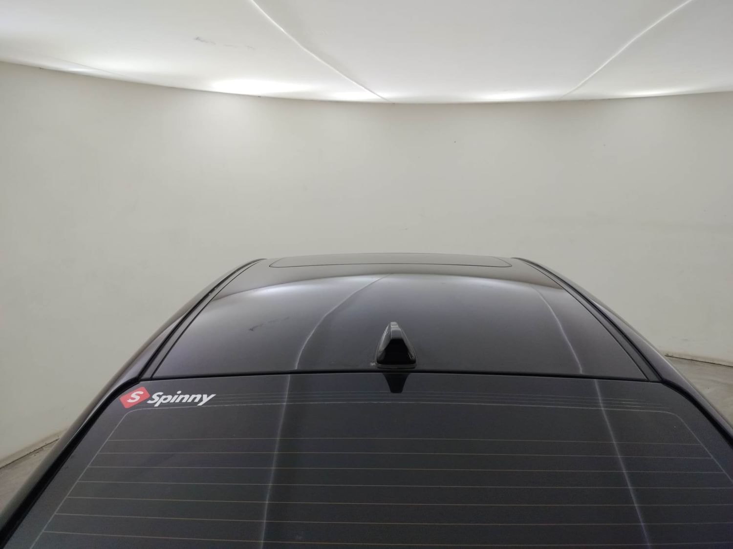 Verna image 11 Verna image 11