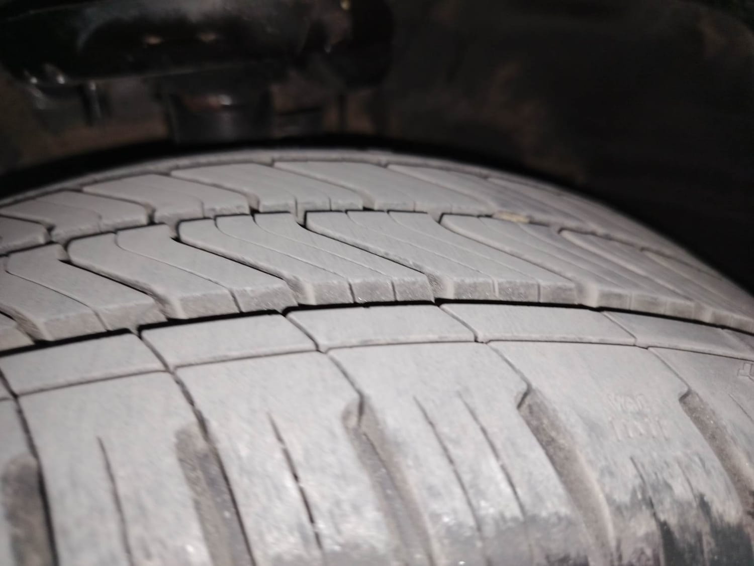 Verna image 38 Verna image 38