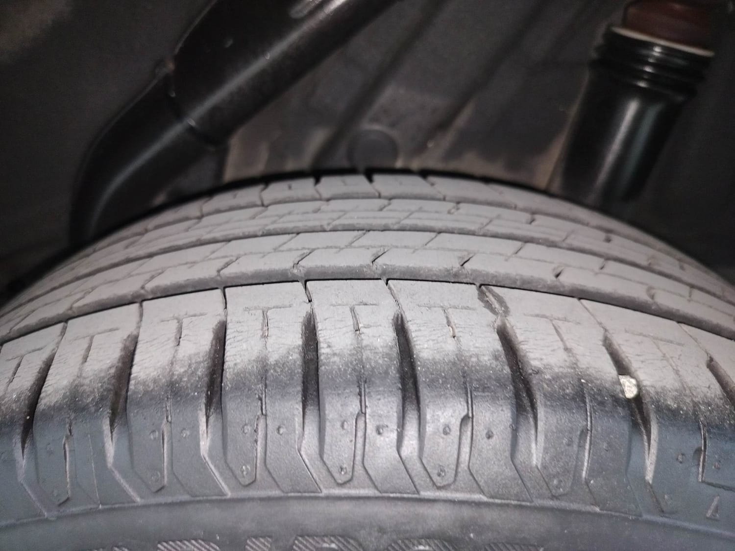 Verna image 39 Verna image 39