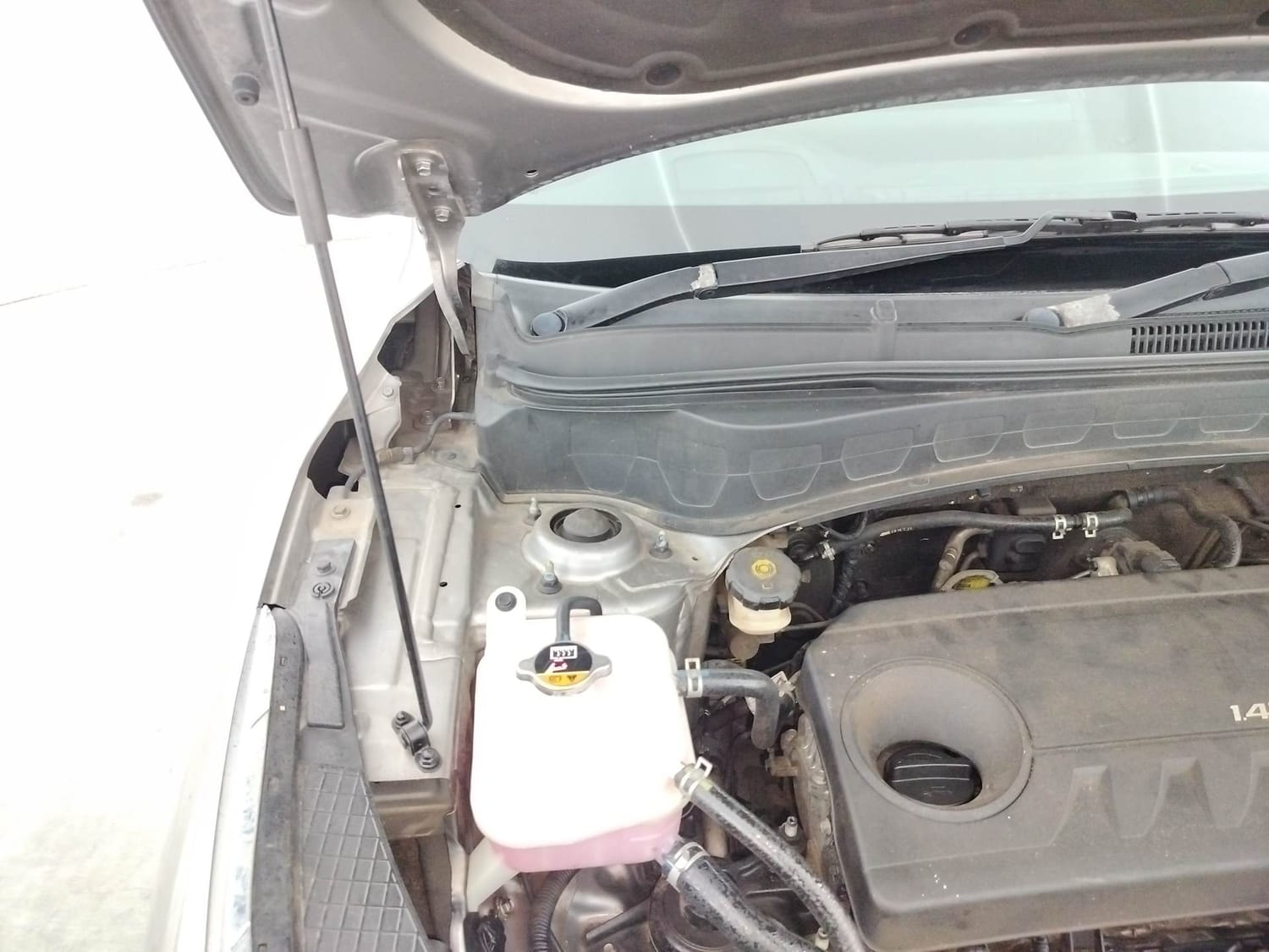 Seltos image 31 Seltos image 31