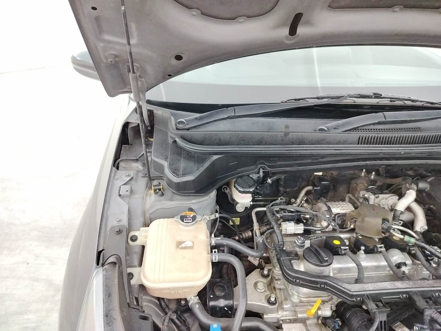 i20 N Line image 31 i20 N Line image 31