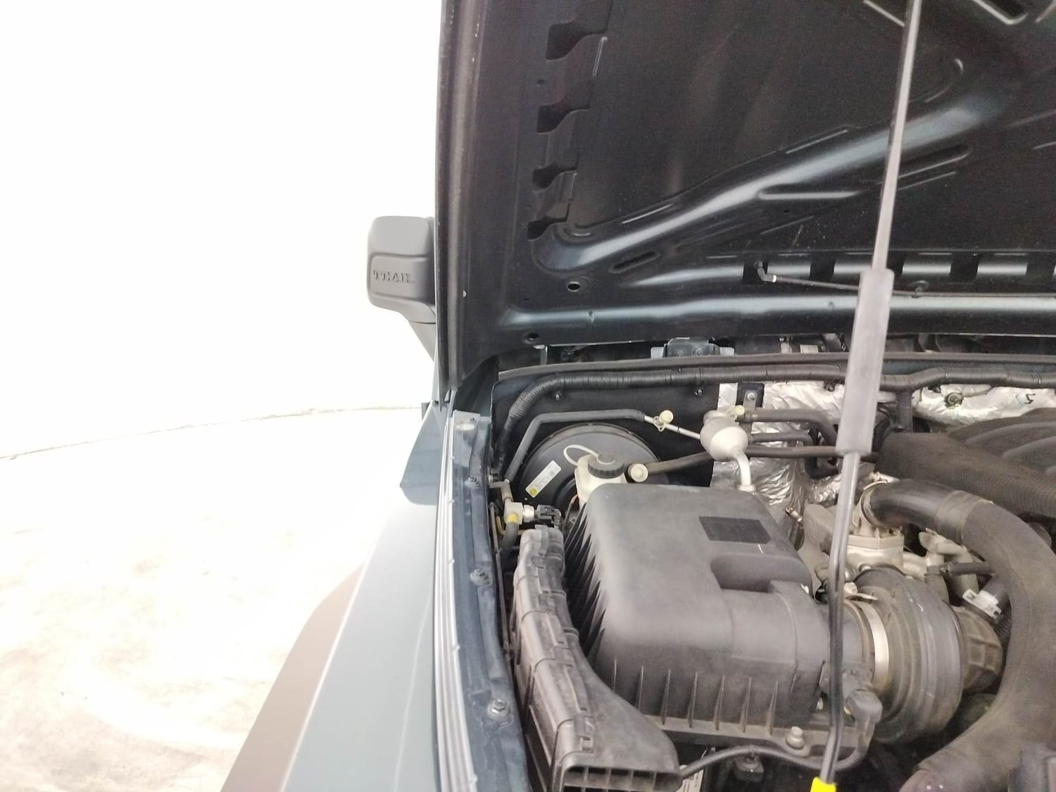 Thar image 31 Thar image 31