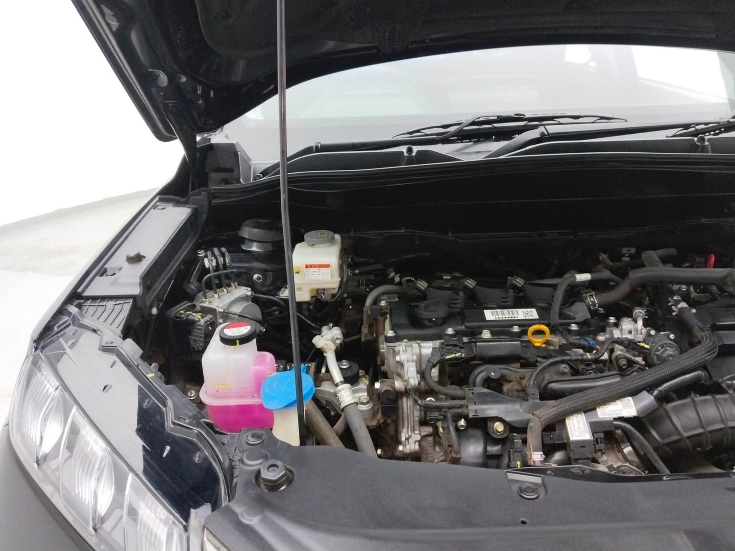 Grand Vitara image 29 Grand Vitara image 29