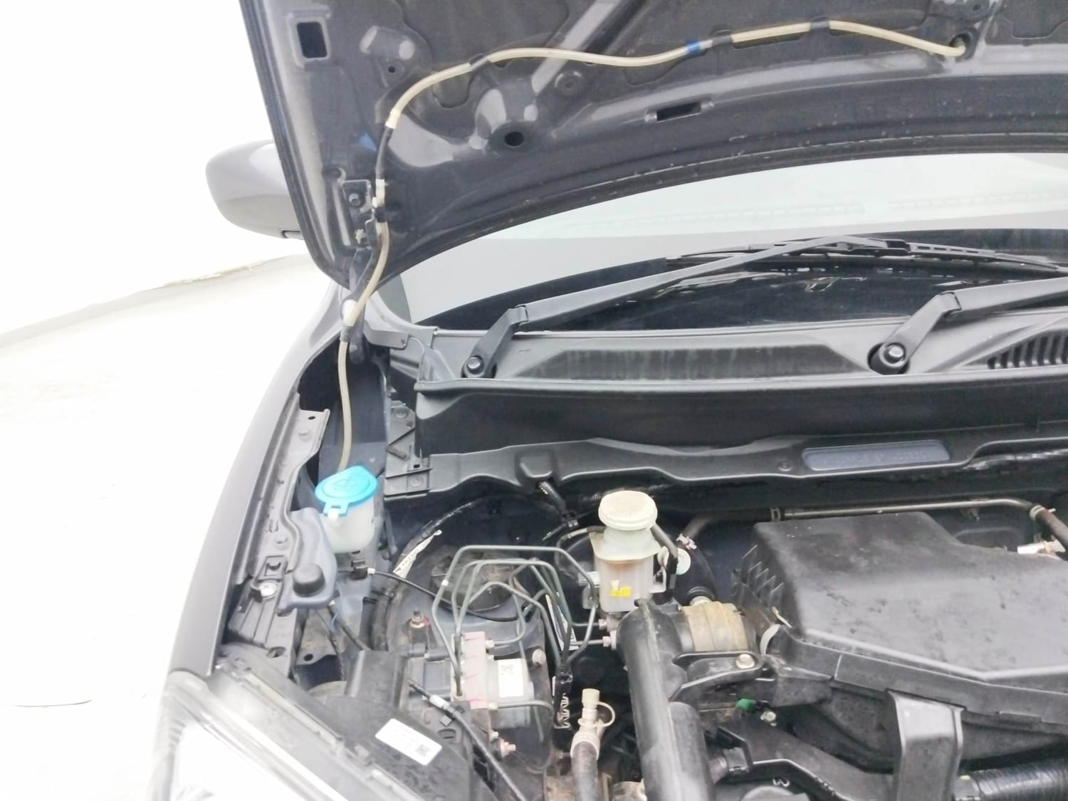 S-Presso image 31 S-Presso image 31