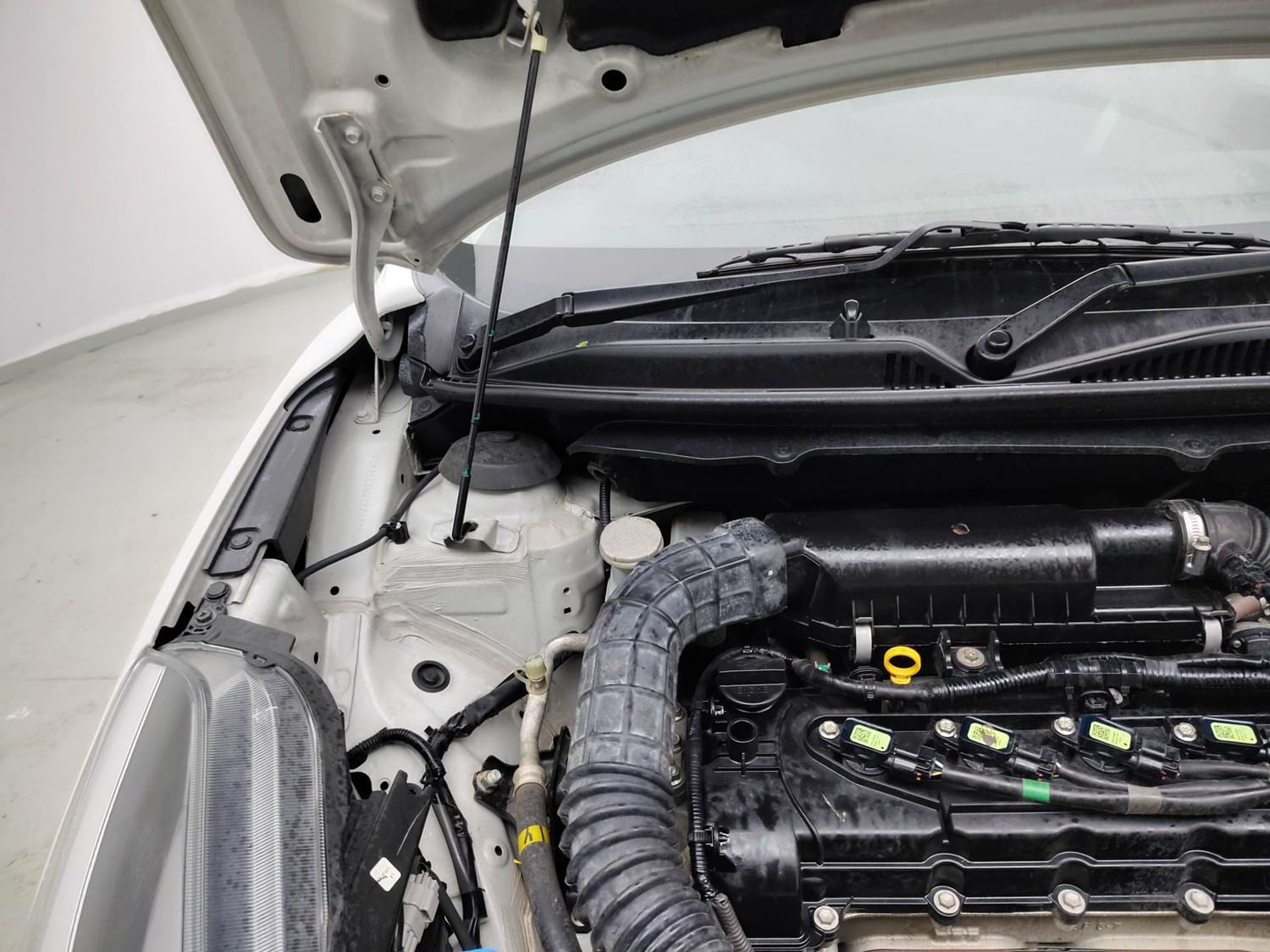 Glanza image 31 Glanza image 31