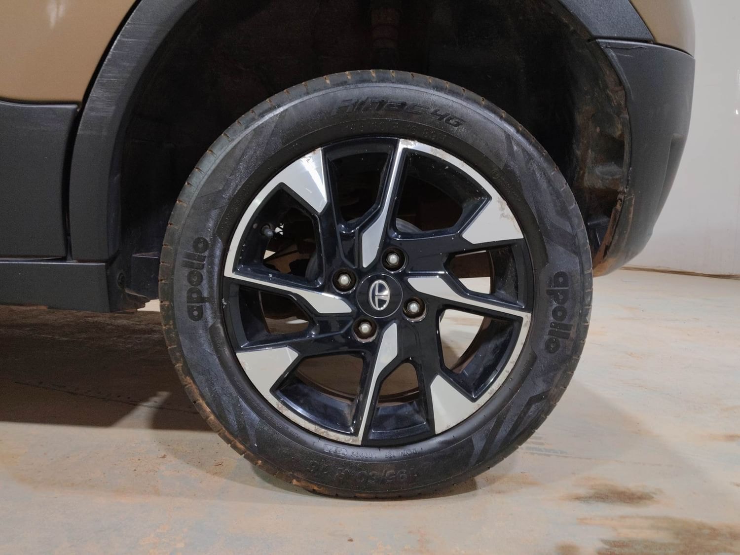 Punch image 35 Punch image 35