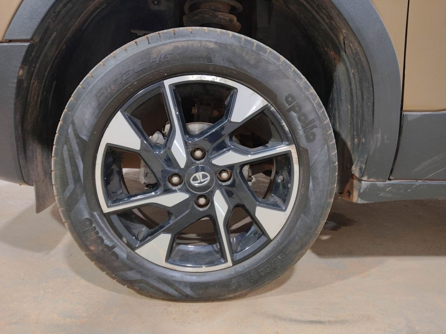 Punch image 34 Punch image 34