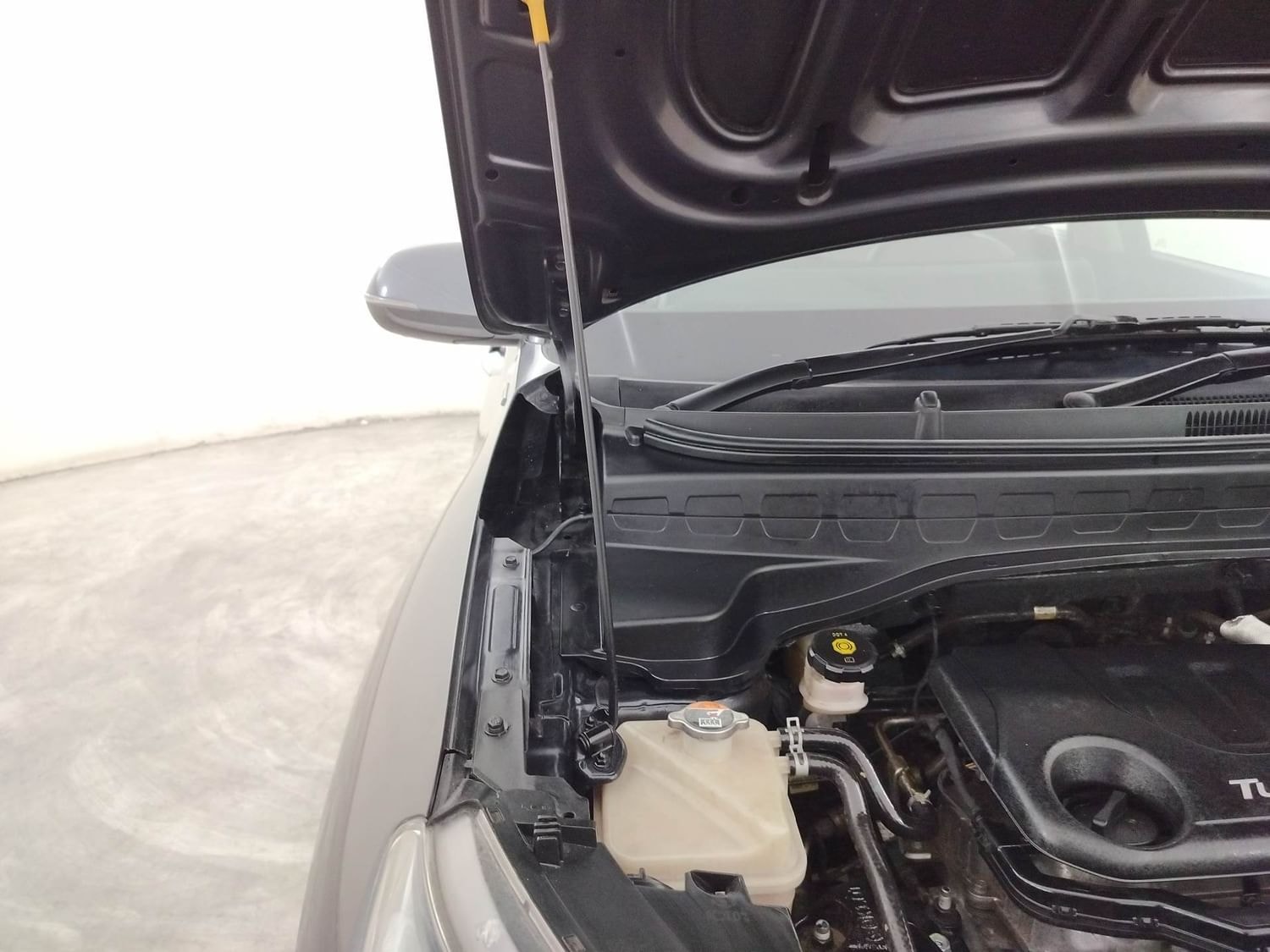 Sonet image 31 Sonet image 31