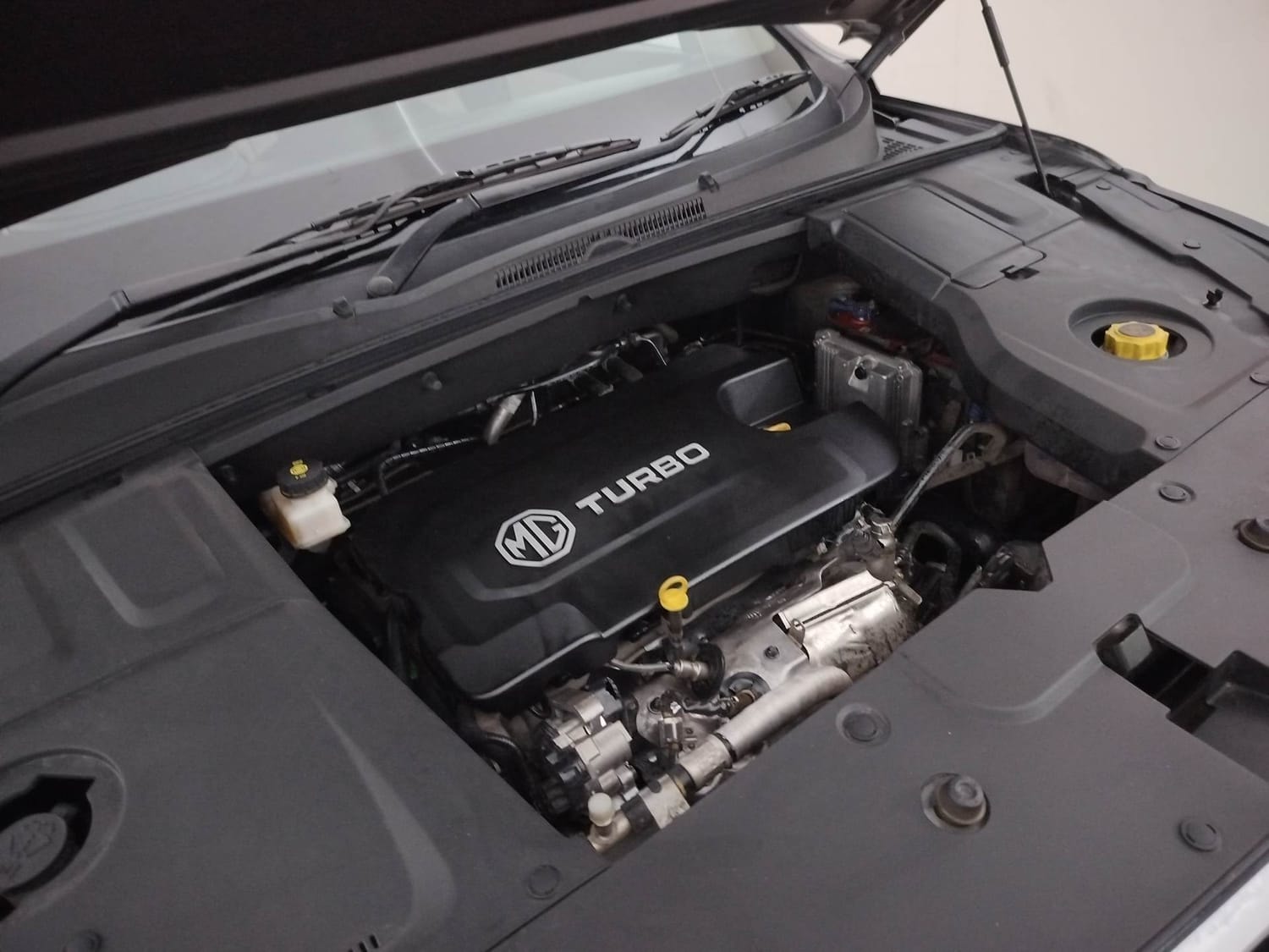 Hector image 29 Hector image 29