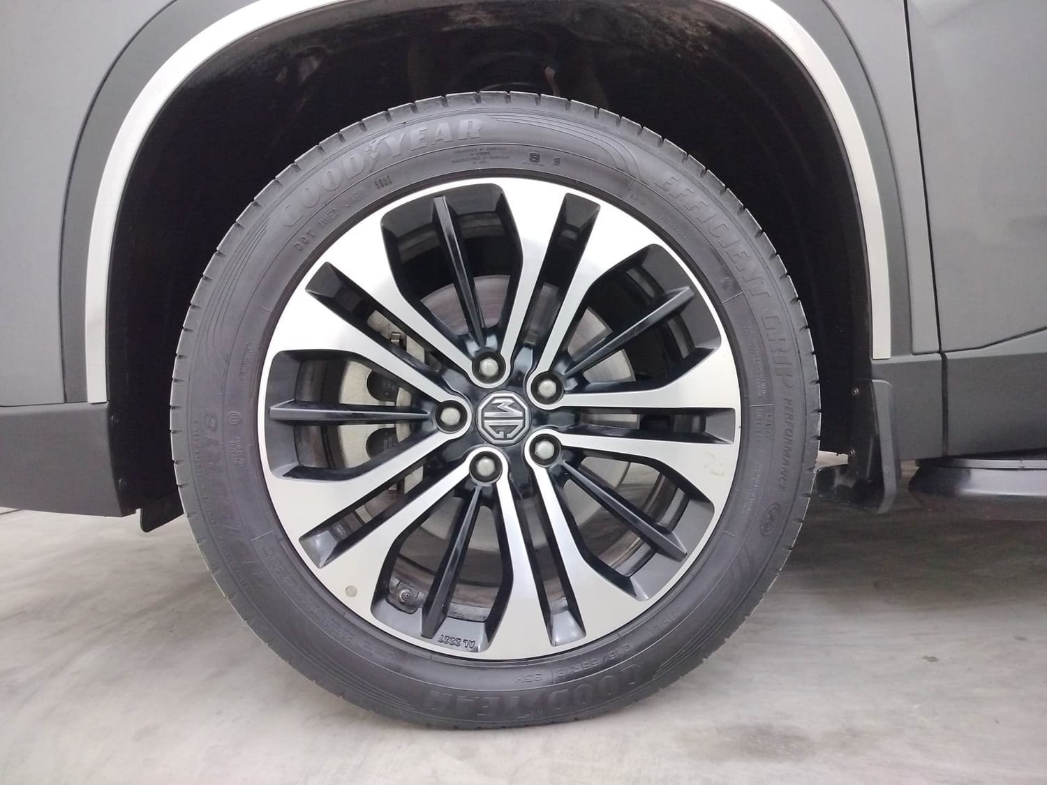 Hector image 34 Hector image 34